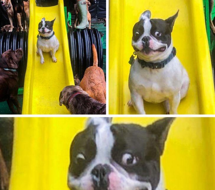 c19633551793b3e41c40ad0bc9