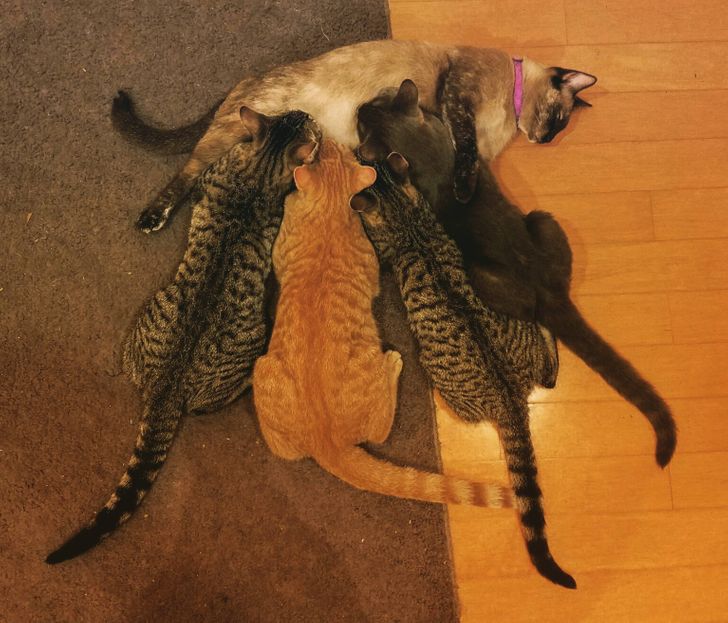 c198fc50e9b1dc75d32a8839b8