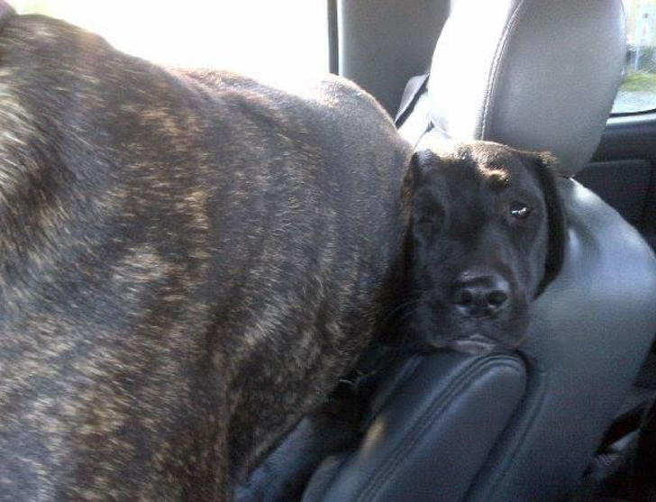 c19b0f548c8149eb86e5a847bb c19b0f548c8149eb86e5a847bb