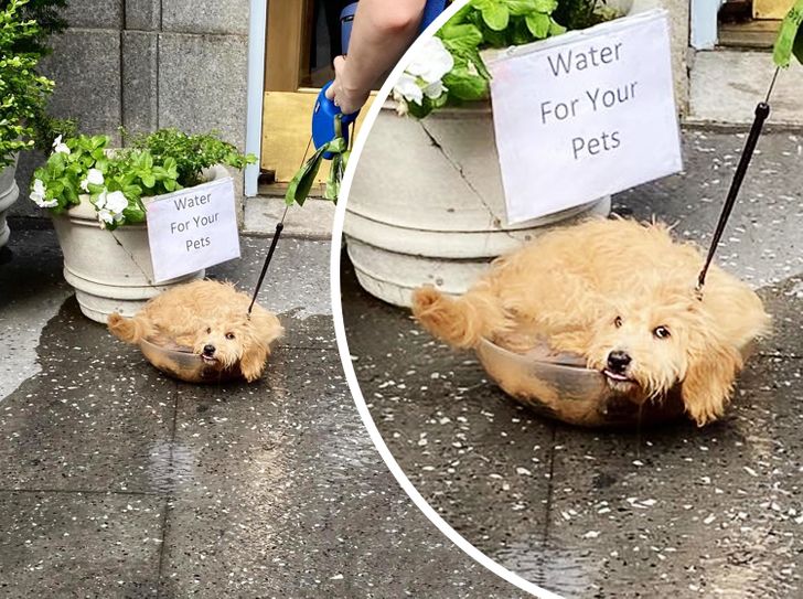 c19c0c54f9b678cfd30904c03d