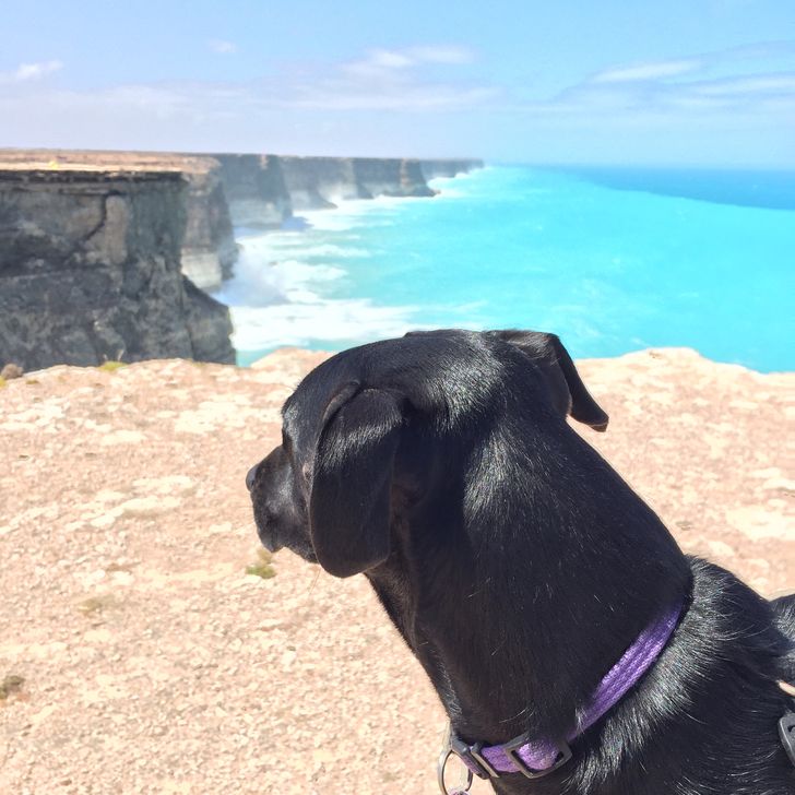 c1a5bd5edb8590f8ebe43c9220