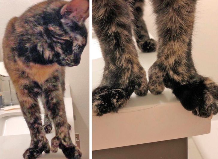 c1b0415944b97d0815aded8077