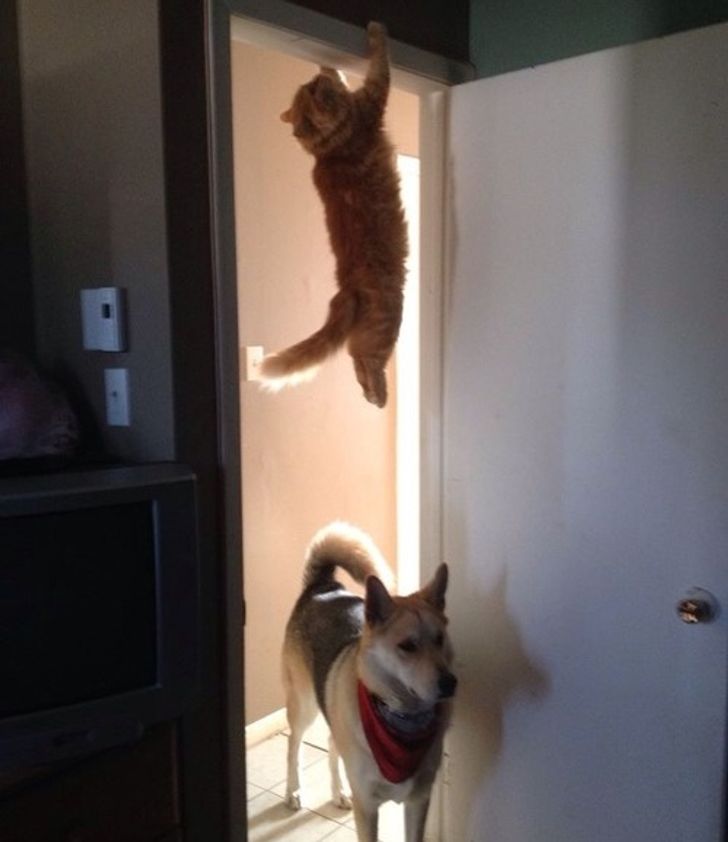 c1b6b950bdb8ab3bb9649b4a5e