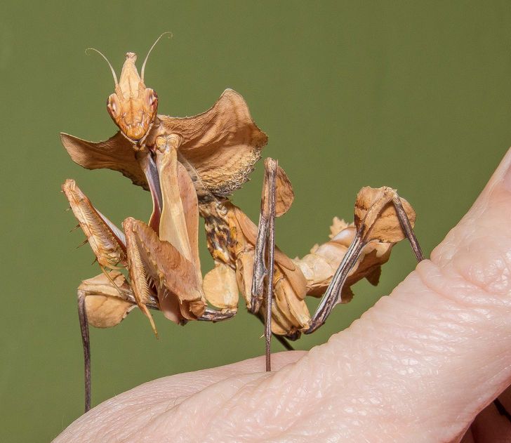 c1b6ed5859b4f2cb62e554905b