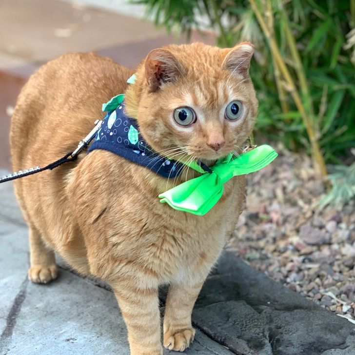 c1b7a054c8ab40f948852c9ea7