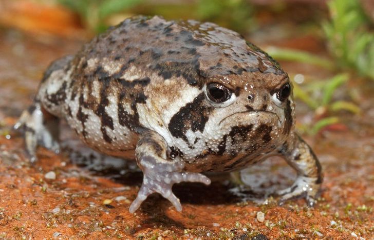 c1ba73544a8622041fc9b4baf9