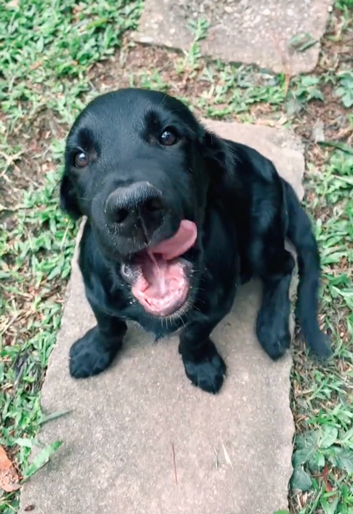 c1bc535a789bd99debfcc73000