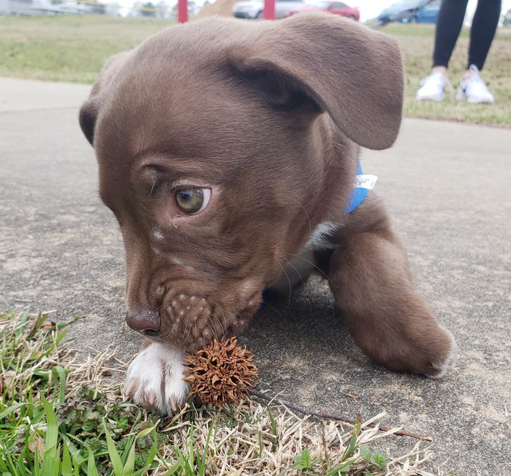 c1c22b549697d9ee69c3aaeb49