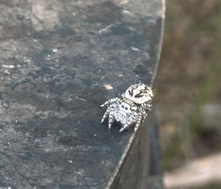 c1caa6523fb0af036ff78e7743