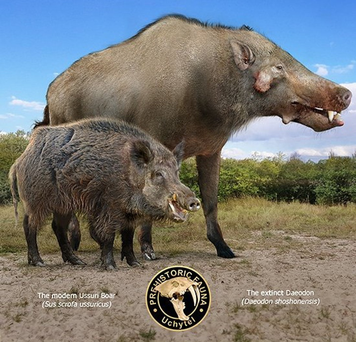 c1cb2f5e43b6a5f704dc393e5a