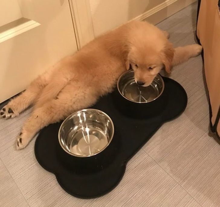 c1cd545f638561d78e4407fda4