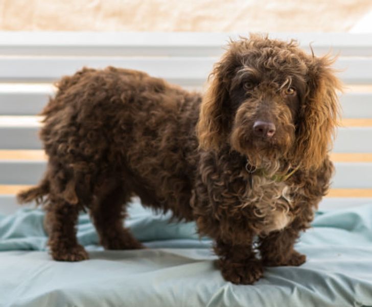 c1ceff5ddf9803b6fbdc3f274f