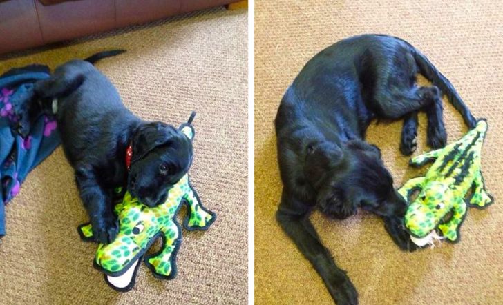 c1d15652ba8fa5f4d00fdb80d1