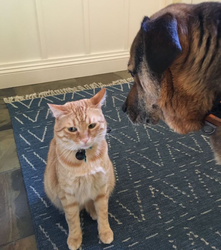 c1d5325be1a96b3fb18b39d015