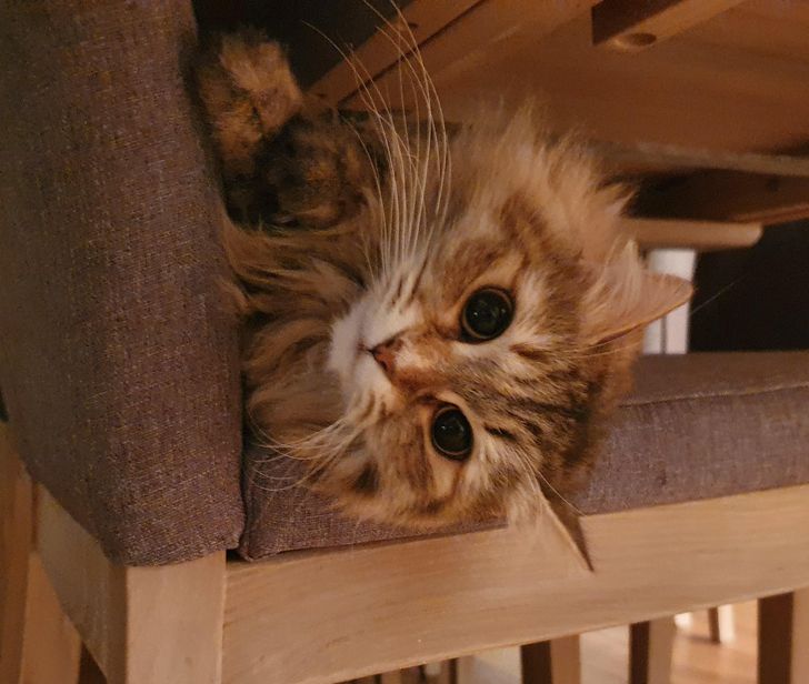 c1d888527ca5d93e457fee601d