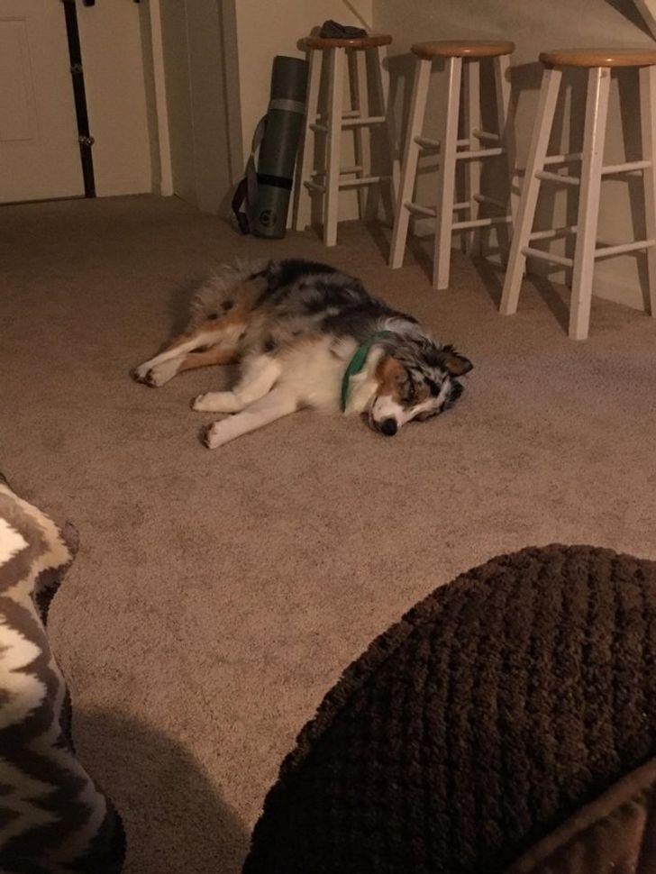 c1e8195e45b4cb788d2afc1a2b