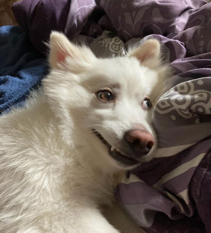 c1efbd5640be663505d7c19abf