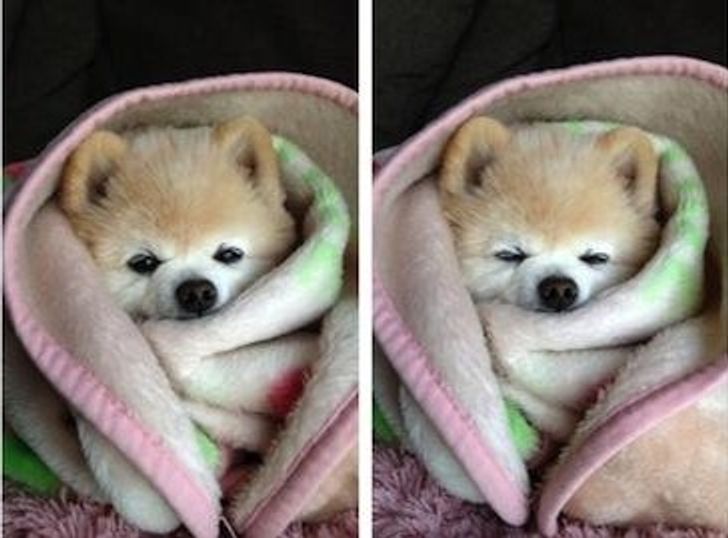 c1f64f57c7b4652a4aaba14b09