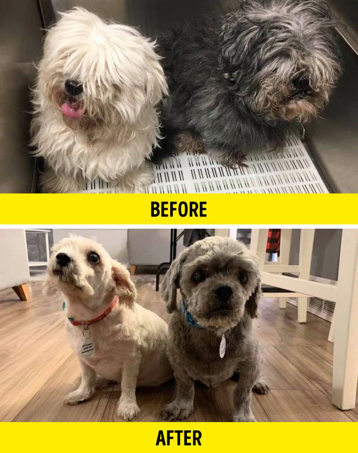 c20246565f84ddf3304b0e86f6