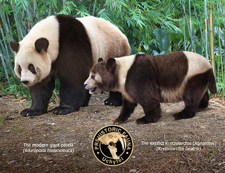 c20458504a9e40080fe7967f88