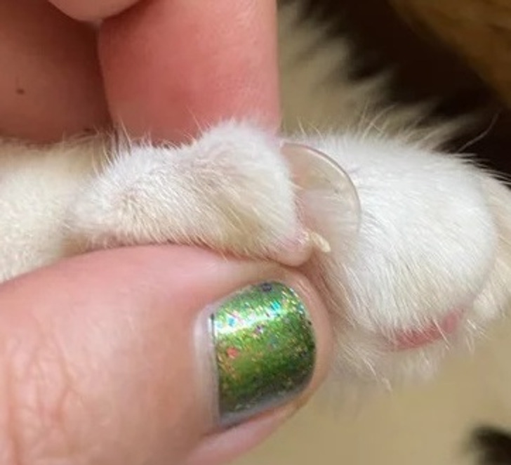 c207b159b2acaaf898ec32582a