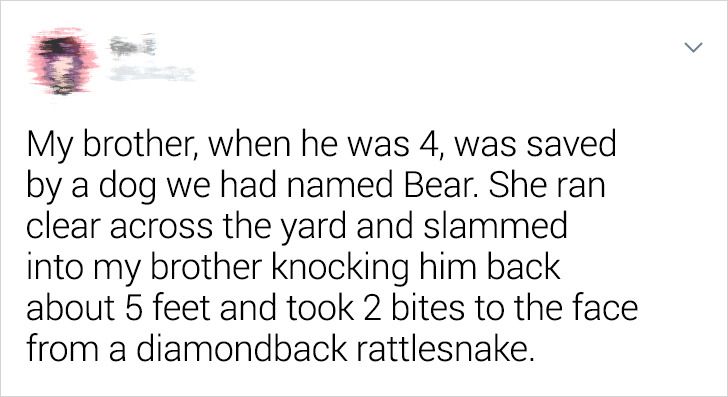 c20ddf517096373af10156deb8