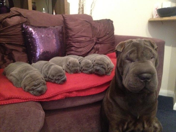 c2108f5607ad9327c8b36e1e2c