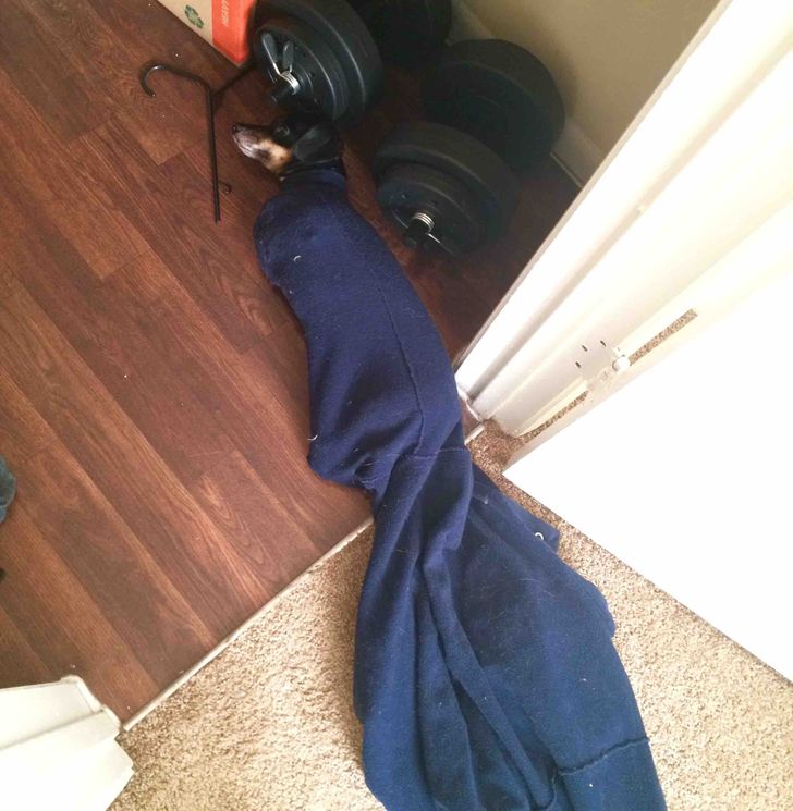 c210dd5cd0a6cdcb1fe7a54144 c210dd5cd0a6cdcb1fe7a54144