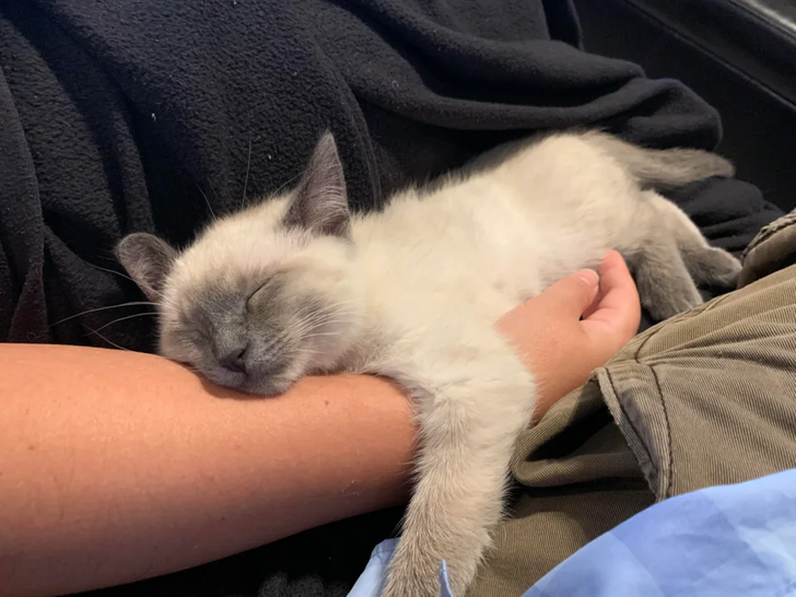 c217be5052aed4d22471f91b18