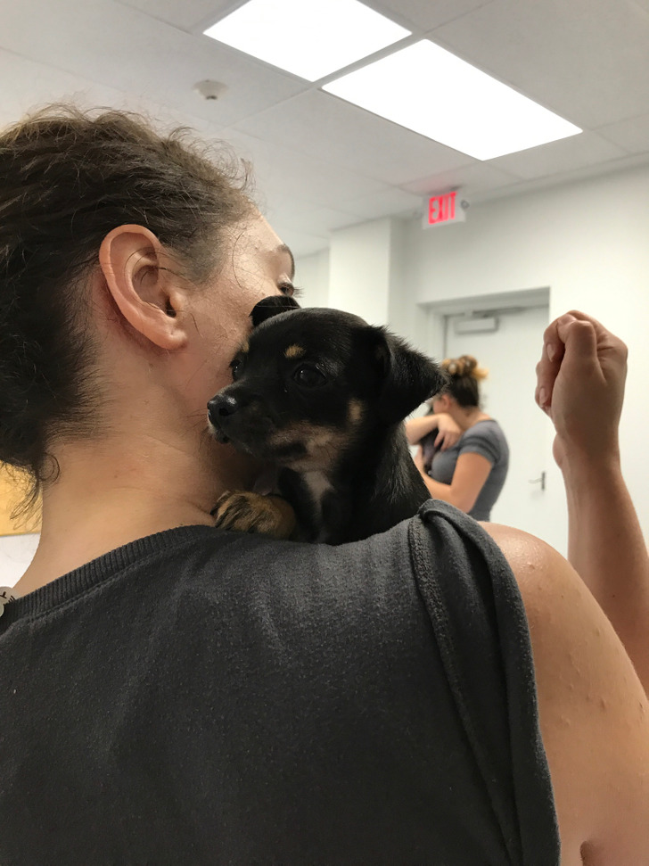 c2220f50ca93358e2cf02ee3e6