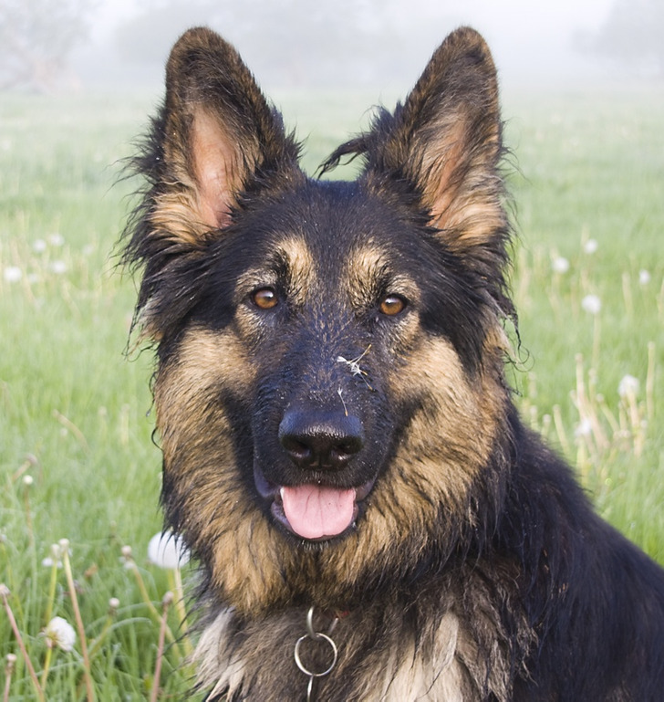 c225e654928e416b8881e08ad0