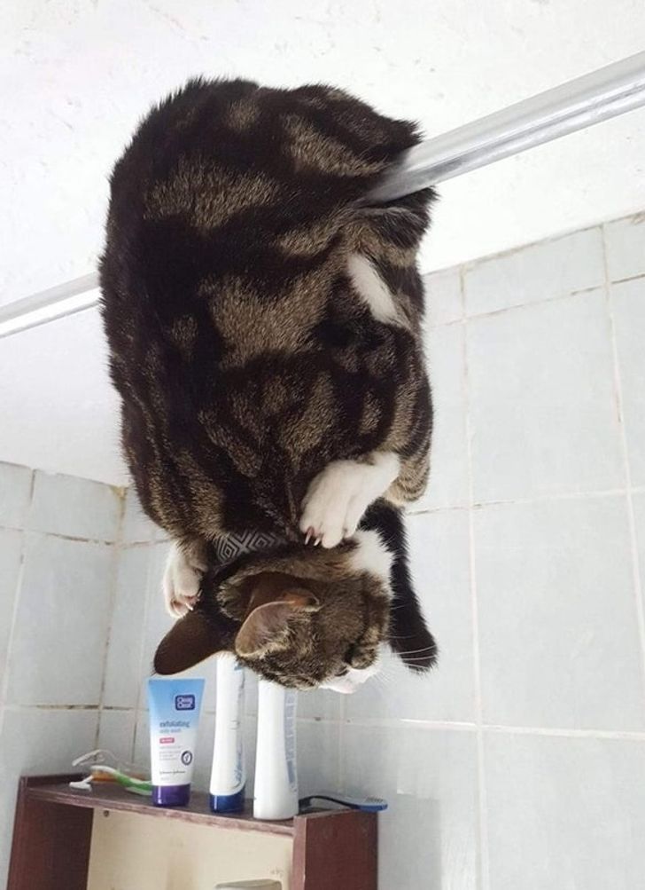 c226265e93ad0e38d493f418b0