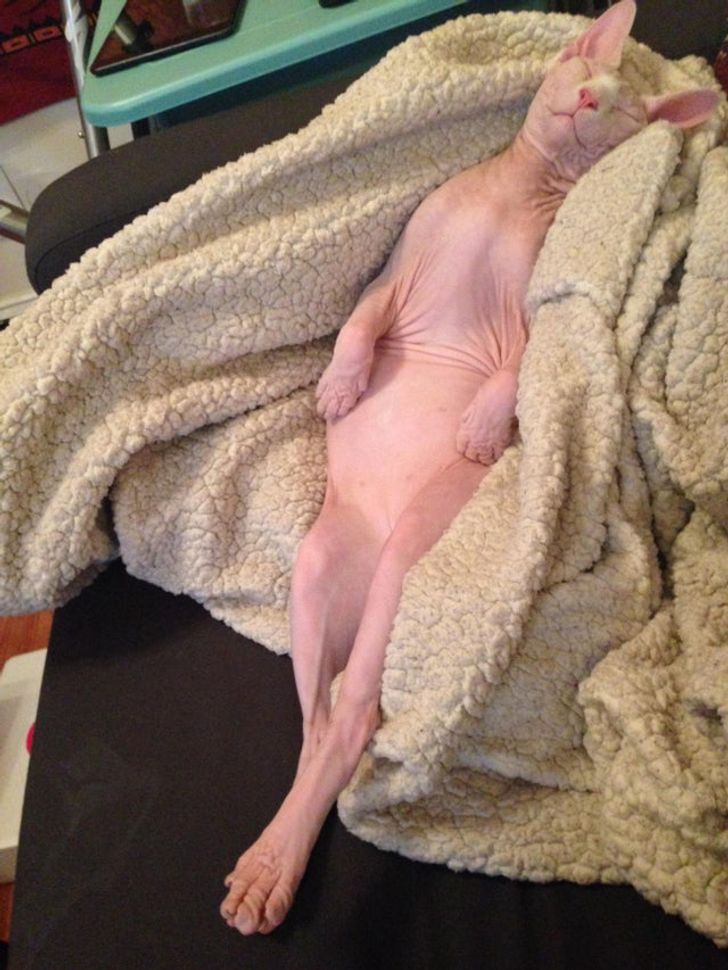 c22c98541585d057758842db39