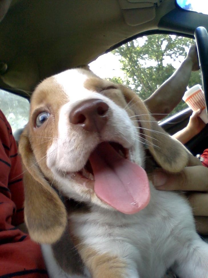 c2342c5e96b310644c653fcab9