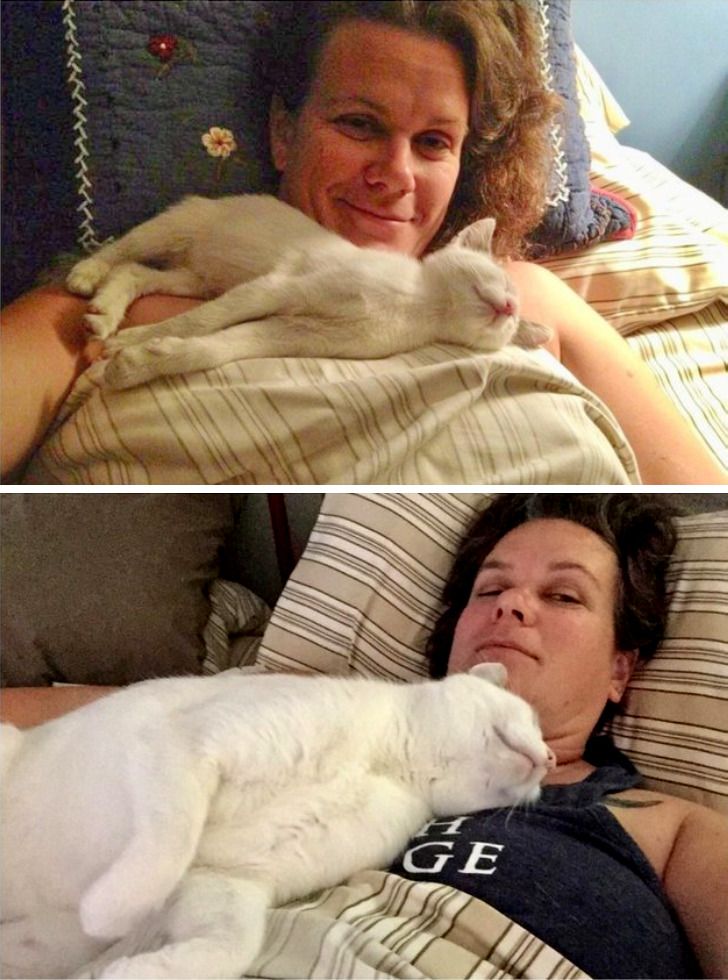 c2434758de977d2939a1e4c825 c2434758de977d2939a1e4c825