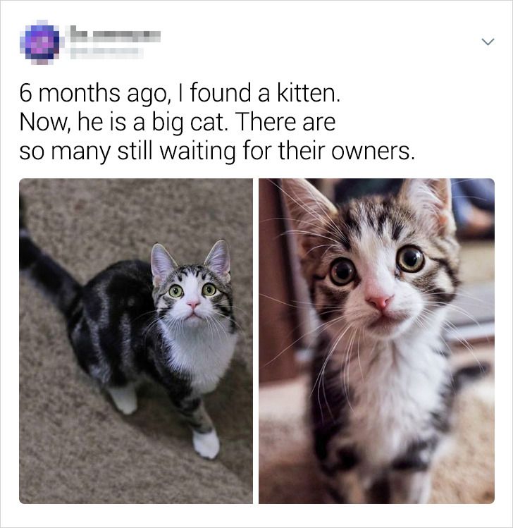 c2434852e09ad52cca95bb98bd