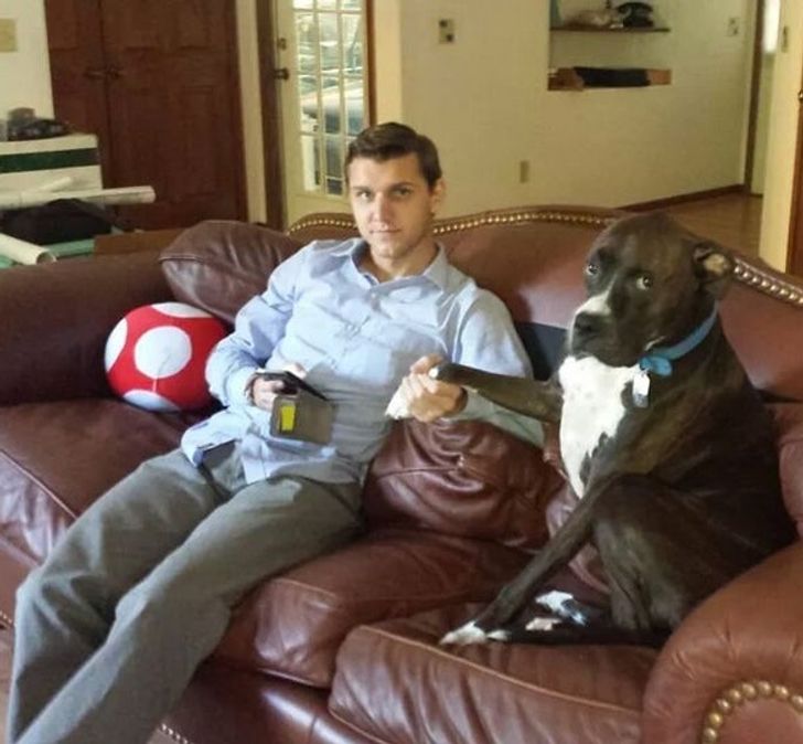 c24504592cb0815429f9568265