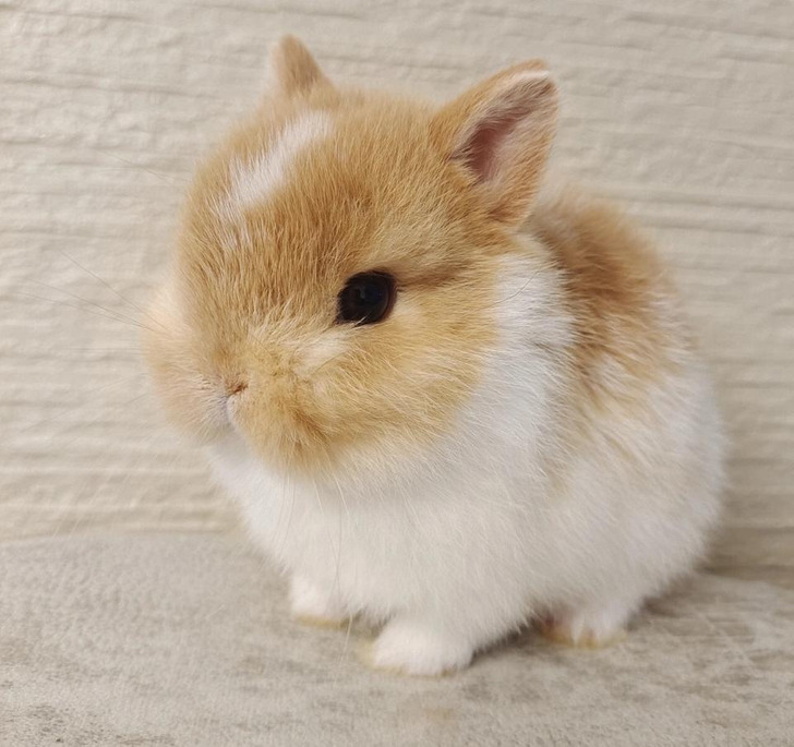 c24f755924b32b0af1aad9b77b