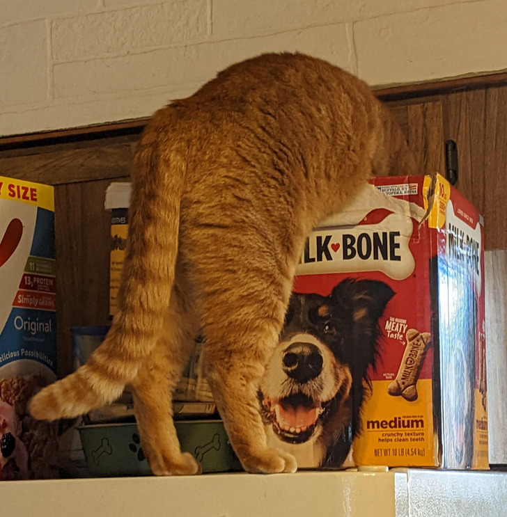 c25d6e55aa964319bdc51097e5 c25d6e55aa964319bdc51097e5