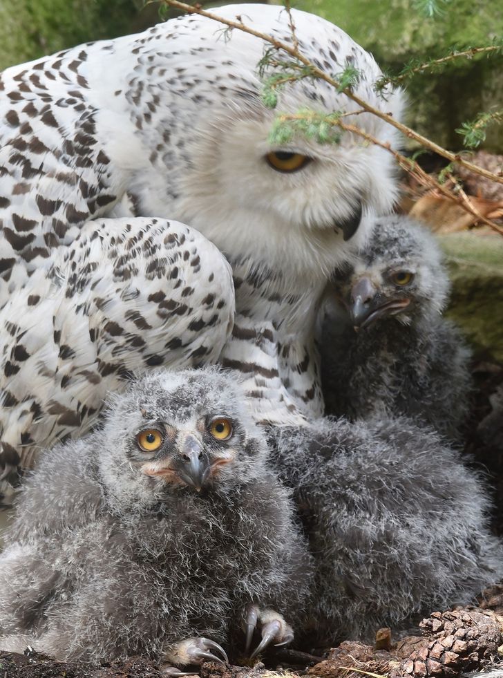 c25f855c219e886c90bb2dfc90