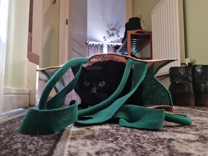 c2650f5d78ab61fbf3fc276d0c