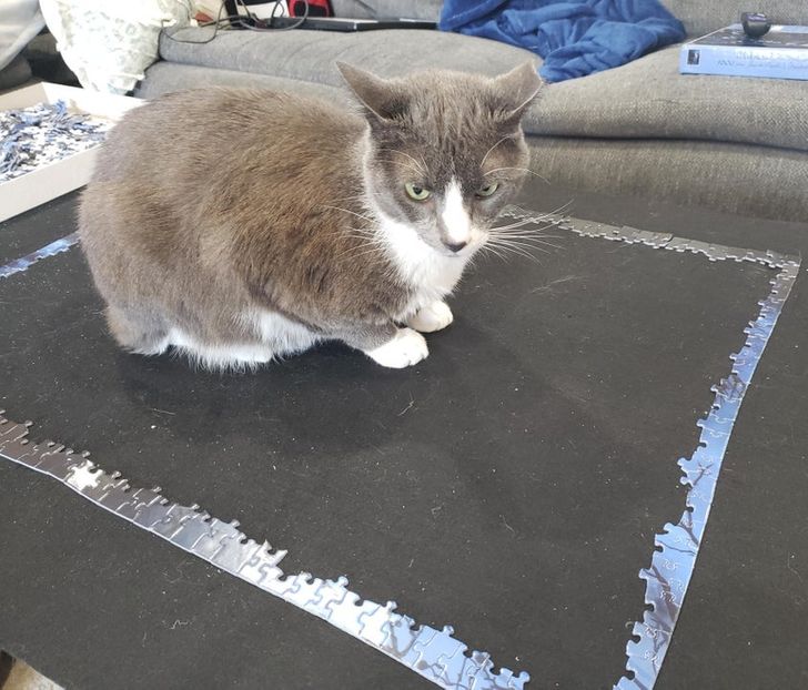 c26d6e55f5b5948a588af8b438