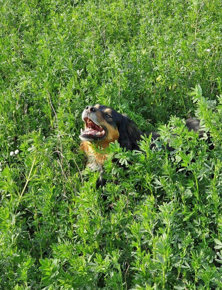 c27250553f93f422c636aa7ebf