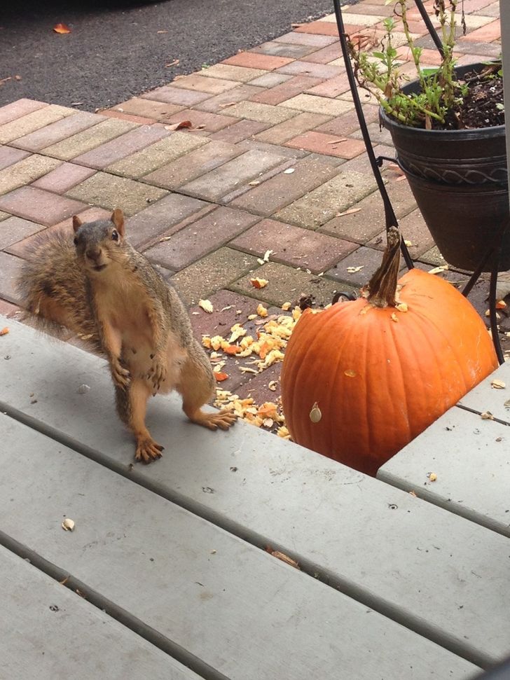 c2744f565cb210579a09559242