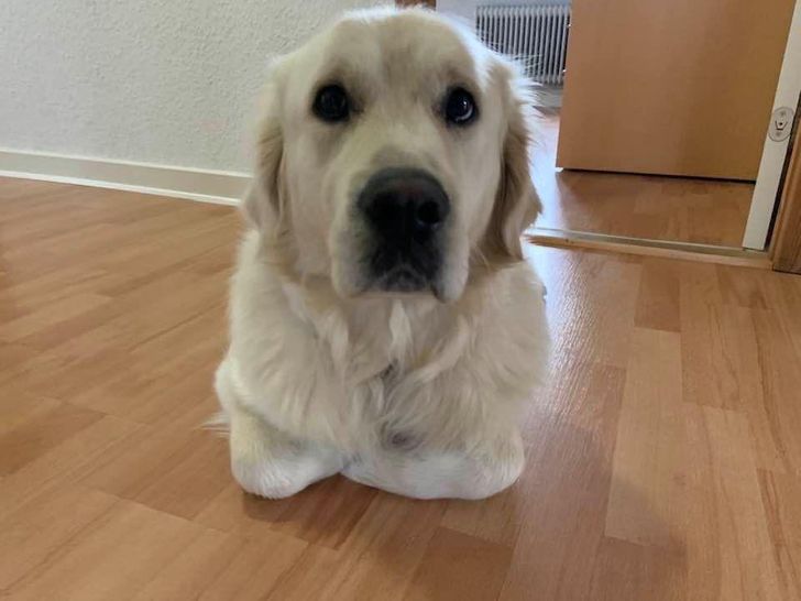 c2745a5e0395865632fcf7eb07