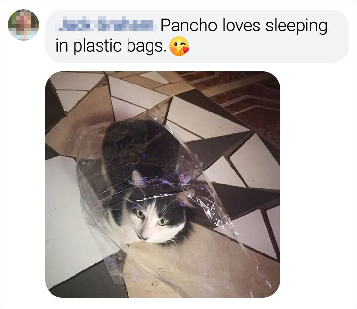 c279015b70b66c0f8a7ec6bf6e