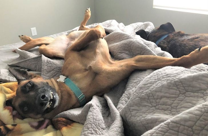 c2813857f3b449acc6510263d6-1