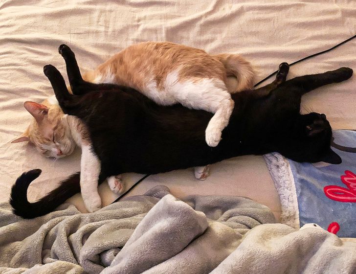 c2828051959148d5af724d0b1f c2828051959148d5af724d0b1f