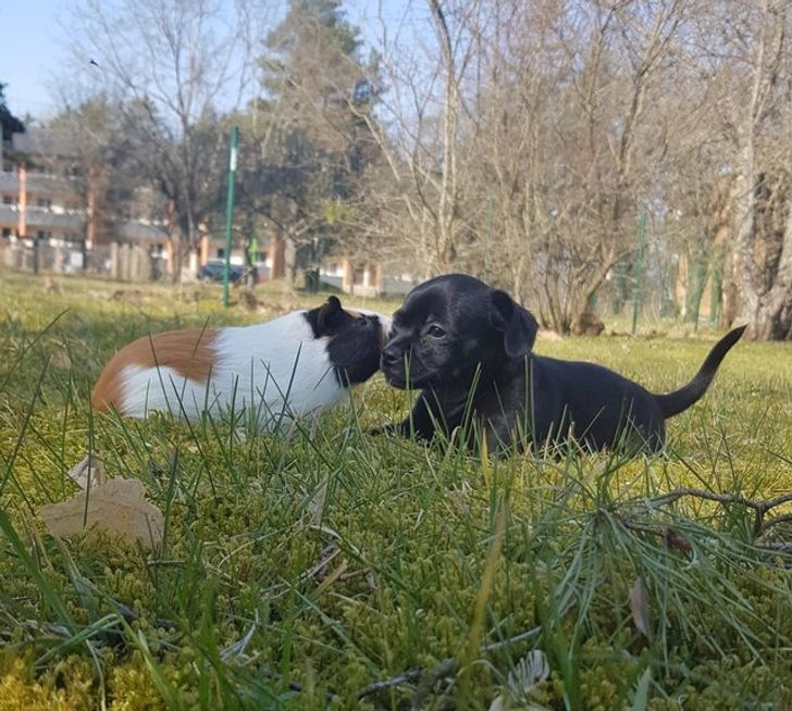 c28e3d5ad49d99972e1477e61a