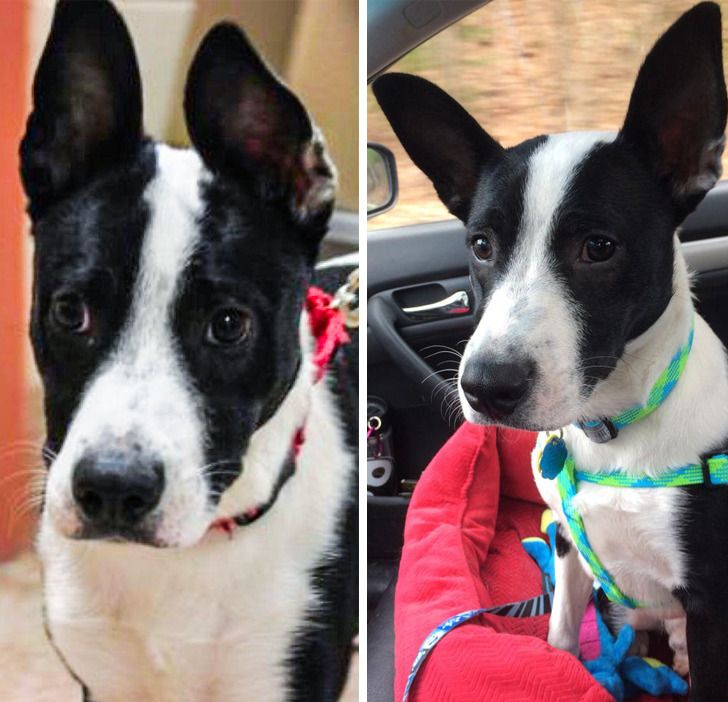 c28fea5edc99fb8489d4542c86